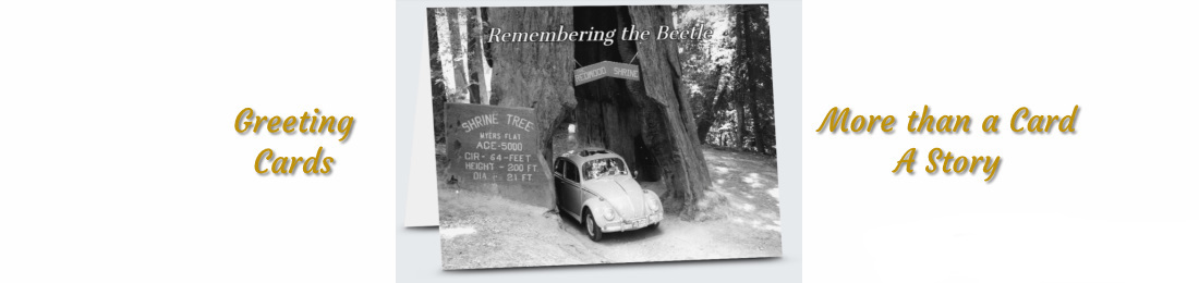 Remembering the Beetle